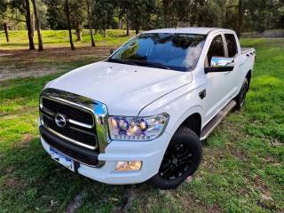 ZX AUTO, Terralord 2.4T, Usado